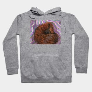 Snooze - Dachshund Weiner dog having a nap Hoodie